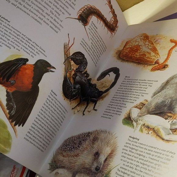 Two Books - Picture 5 of 6